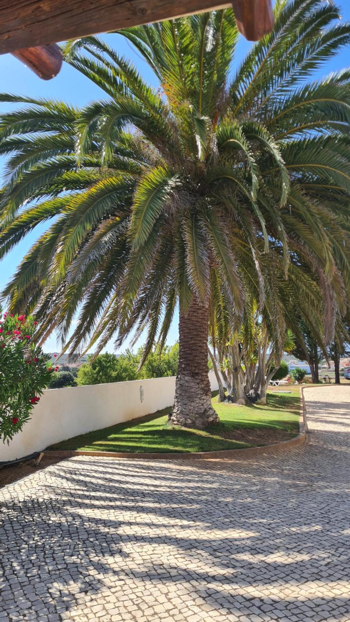 Residence Les Arcades Almadena ภายนอก รูปภาพ